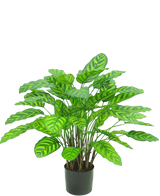 Artificial Plant Calathea Makoyana Deluxe 75 cm - Easyplants Artificial Plants & Flowers