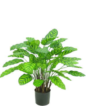 Artificial Plant Calathea Makoyana Deluxe 75 cm - Easyplants Artificial Plants & Flowers
