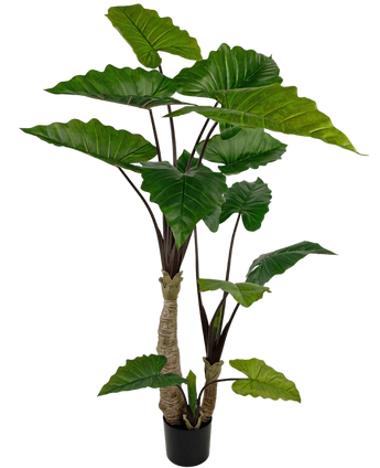 Artificial Plant Calocasia 180 cm - Easyplants Artificial Plants & Flowers