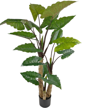 Artificial Plant Calocasia 210 cm - Easyplants Artificial Plants & Flowers