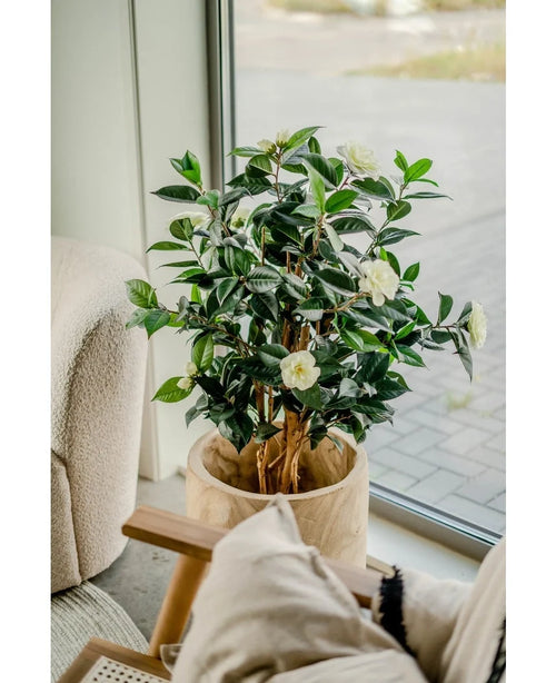 The Artificial Plant Camellia japonica 100 cm, with dark green leaves and white flowers, stands by a large window next to a chair with cushions and beige cushions.