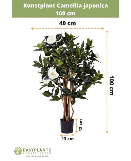 Artificial plant Camellia japonica 100 cm high and 40 cm wide, supplied in a black pot of 13x12 cm. The Japanese rose has green leaves and white artificial flowers, depicted with dimensions.