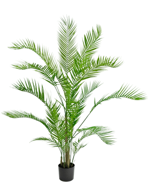 Artificial Plant Chamaedorea 150 cm - Easyplants Artificial Plants & Flowers