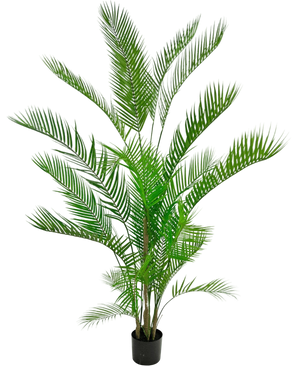 Artificial Plant Chamaedorea 180 cm - Easyplants Artificial Plants & Flowers