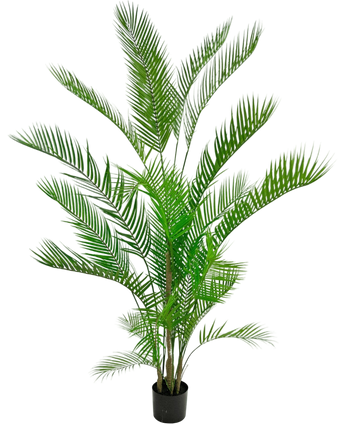 Artificial Plant Chamaedorea 180 cm - Easyplants Artificial Plants & Flowers