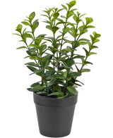 Artificial plant chlorophytum 28 cm - Easyplants Artificial Plants & Flowers