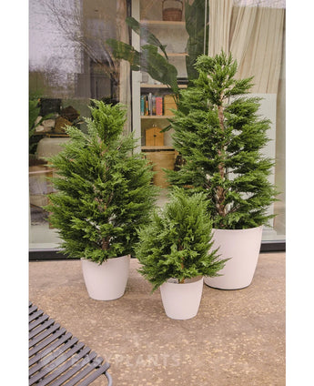 Drie Kunstplant Conifeer deluxe UV 100 cm bomen in witte potten staan op een patio voor een glazen deur, met binnenplanten en planken erin. Het dichte groene gebladerte van de luxe buitenplanten complementeert de moderne omgeving.