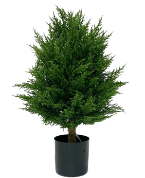 Artificial plant conifer deluxe 60 cm UV - Easyplants Artificial Plants & Flowers