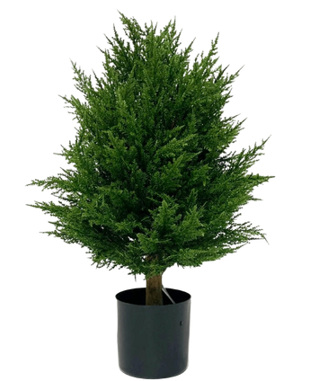 Artificial plant conifer deluxe 60 cm UV - Easyplants Artificial Plants & Flowers