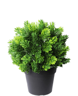 Artificial plant conifer in pot 19 cm UV - Easyplants Artificial Plants & Flowers