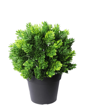 Artificial plant conifer in pot 19 cm UV - Easyplants Artificial Plants & Flowers