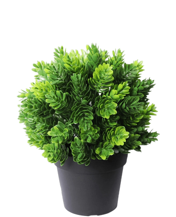 Artificial plant conifer in pot 19 cm UV - Easyplants Artificial Plants & Flowers