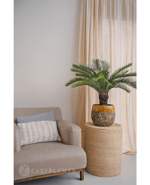 Een Kunstplant Cycaspalm 80 cm staat op een ronde rieten tafel naast een beige fauteuil met een wit kussen met patroon, tegen lichtbeige gordijnen en een neutrale muur.
