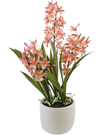 Artificial plant cymbidium 58 cm pink - Easyplants Artificial Plants & Flowers