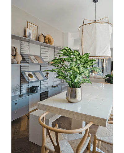Modern dining room with a white table, wooden chairs and an Artificial Dieffenbachia plant 75 cm as the centerpiece. Shelves with books and decor line the back wall and a large lamp hangs above the table.