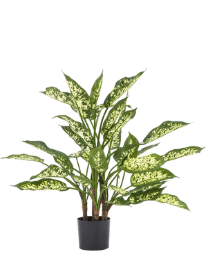 Artificial plant dieffenbachia 75 cm - Easyplants Artificial Plants & Flowers