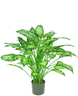 Artificial Plant Dieffenbachia 75 cm - Easyplants Artificial Plants & Flowers