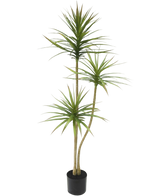 Artificial plant dracaena fragnans 150 cm - Easyplants Artificial Plants & Flowers