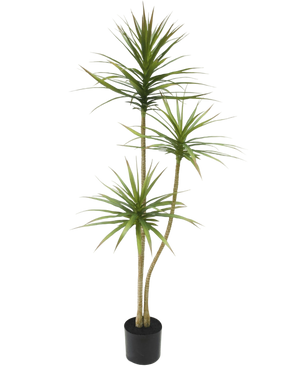 Artificial plant dracaena fragnans 150 cm - Easyplants Artificial Plants & Flowers