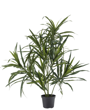 Artificial plant dracaena reflexa in pot 63 cm - Easyplants Artificial Plants & Flowers