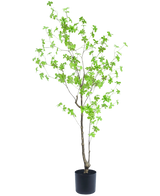 Artificial Plant Enkianthus 150 cm - Easyplants Artificial Plants & Flowers