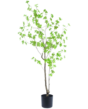 Artificial Plant Enkianthus 150 cm - Easyplants Artificial Plants & Flowers