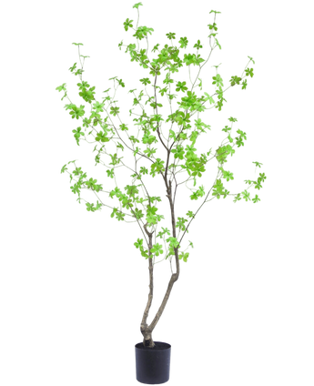 Artificial Plant Enkianthus 180 cm - Easyplants Artificial Plants & Flowers