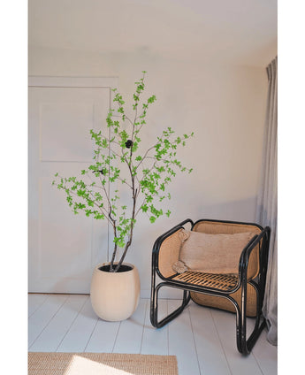 De Kunstplant Enkianthus 180 cm met groene bladeren staat naast een zwarte rotan stoel met een bruin kussen in een lichte, minimalistische kamer met witte muren en vloer, zacht verlicht door licht dat van rechts naar binnen valt.