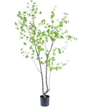 Artificial plant Enkianthus 210 cm - Easyplants Artificial Plants & Flowers