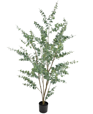 Artificial plant eucalyptus 210 cm - Easyplants Artificial Plants & Flowers