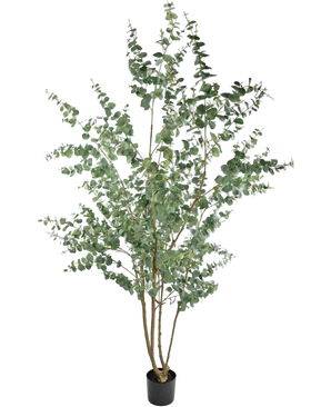Artificial Plant Eucalyptus 240 cm - Easyplants Artificial Plants & Flowers
