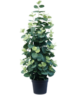 Artificial plant eucalyptus 61 cm - Easyplants Artificial Plants & Flowers
