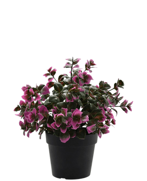 Artificial plant eucalyptus purple in pot 22 cm UV - Easyplants Artificial Plants & Flowers