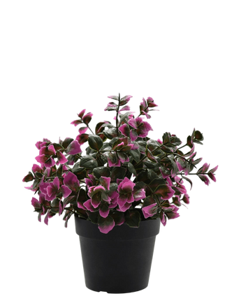 Artificial plant eucalyptus purple in pot 22 cm UV - Easyplants Artificial Plants & Flowers