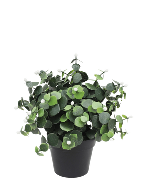 Artificial plant eucalyptus white in pot 22 cm UV - Easyplants Artificial Plants & Flowers