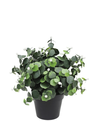 Artificial plant eucalyptus white in pot 22 cm UV - Easyplants Artificial Plants & Flowers