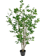 Artificial Plant Ficus 150 cm - Easyplants Artificial Plants & Flowers