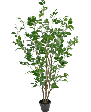 Artificial Plant Ficus 150 cm - Easyplants Artificial Plants & Flowers