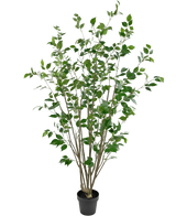 Artificial Plant Ficus 180 cm - Easyplants Artificial Plants & Flowers