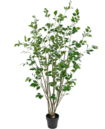 Artificial Plant Ficus 180 cm - Easyplants Artificial Plants & Flowers