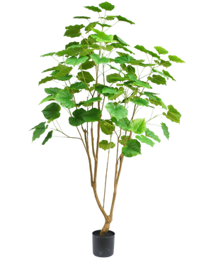 Artificial Plant Ficus 180 cm - Easyplants Artificial Plants & Flowers