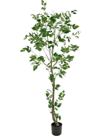 Artificial plant ficus 210 cm - Easyplants Artificial Plants & Flowers