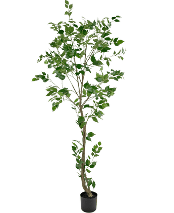 Artificial plant ficus 210 cm - Easyplants Artificial Plants & Flowers