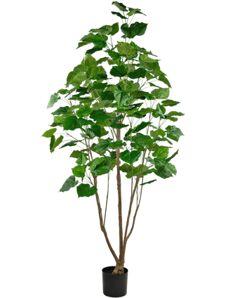 Artificial Plant Ficus 210 cm - Easyplants Artificial Plants & Flowers