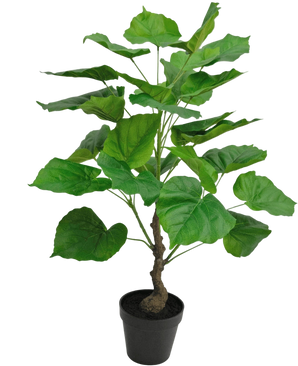 Artificial Plant Ficus 60 cm - Easyplants Artificial Plants & Flowers