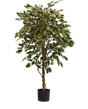 Artificial plant ficus fur 150 cm - Easyplants Artificial Plants & Flowers
