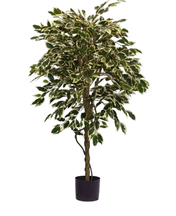 Artificial plant ficus fur 150 cm - Easyplants Artificial Plants & Flowers