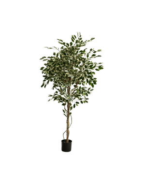 Artificial plant ficus exotica 165 cm