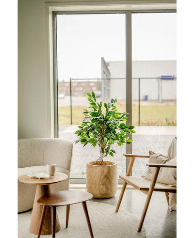 Een gezellige woonkamerhoek met een pluche fauteuil, een houten stoel met kussens, ronde houten bijzettafeltjes en een Kunstplant Ficus Groen 120 cm naast een groot raam met uitzicht op de stad.