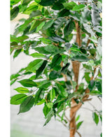 Kunstplant Ficus Groen 150 cm